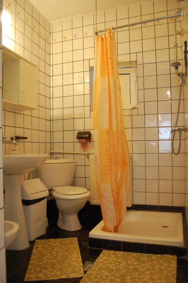 Гостевой дом Vila Dimi Буштени-21